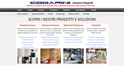 Desktop Screenshot of codarinisistemi.com